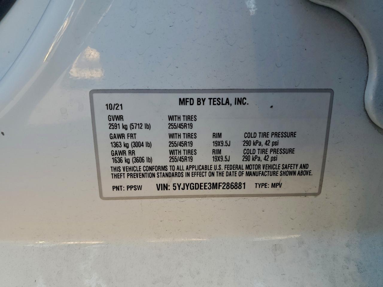 Tesla Model Y Image 11