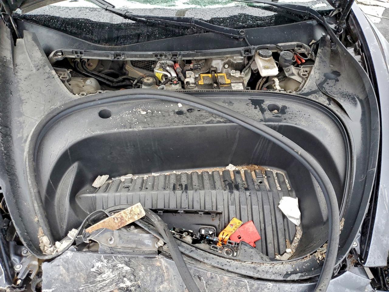 Tesla Model 3 Image 10